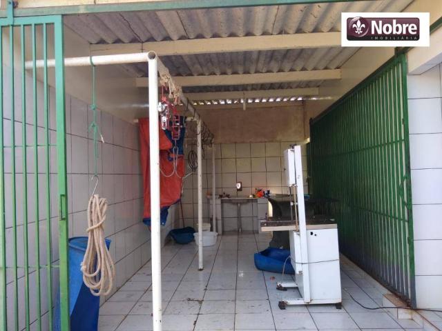 Galpão à venda, 700 m² por R$ 800.000,00 - Zona Rural - Santa Rosa do Tocantins/TO - Foto 5