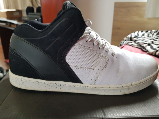 hocks otavio neto