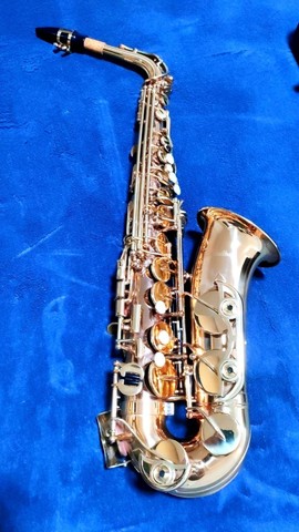 Sax Alto Shelter