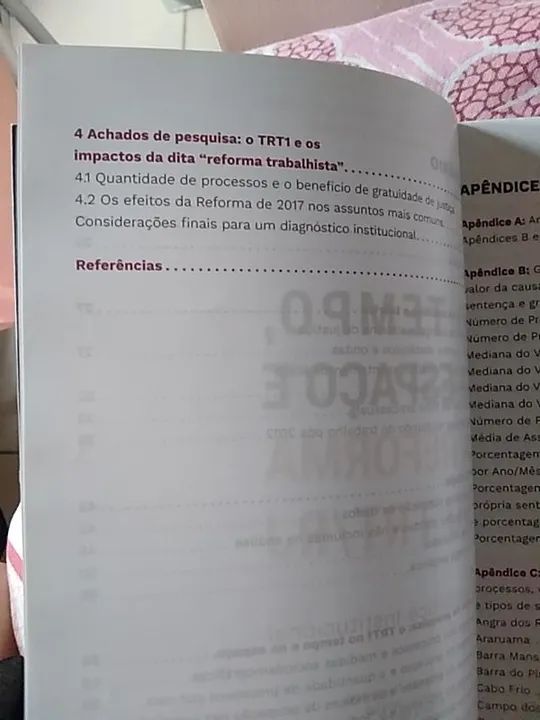 Livro de Direito - O Tempo, o espaço e a reforma no TRT/RJ - Foto 5