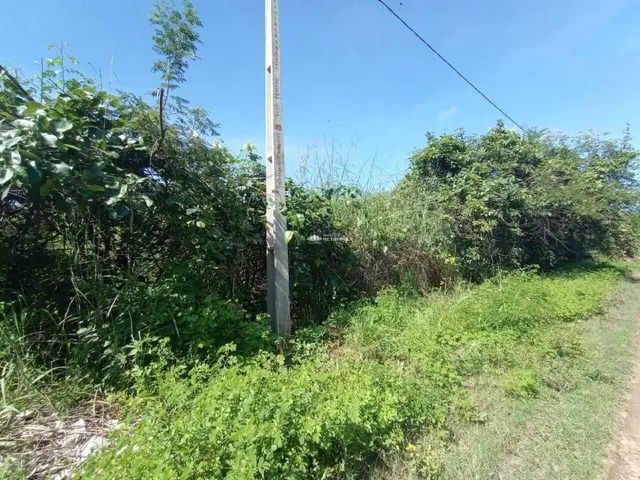 RUA PROJETADA - BARRO: ESPLANADA - Foto 2