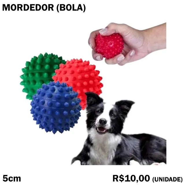 Mordedor Bola Cravo Pet Cachorro Gato Fisioterapia
