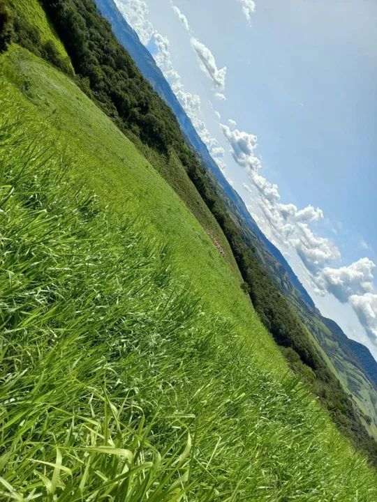 Fazenda em Candido de Abreu - Foto 2