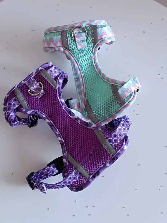 Peitoral para cães pequenos