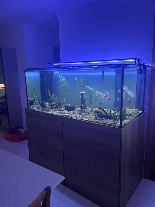 Aquário 630L