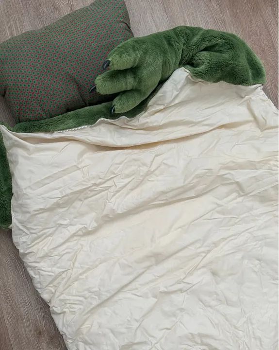 Saco de Dormir Dinossauro Verde Infantil - Foto 4