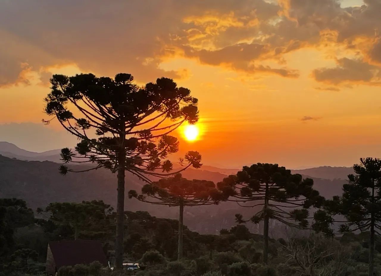 Foto - Balneário Camboriú - Centro