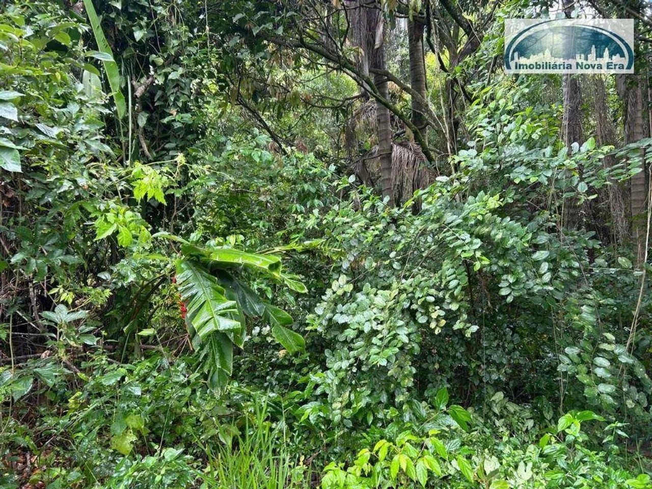 Chácara à venda, 5000 m² por R$ 4.000.000,00 - Monte Alegre - Vinhedo/SP - Foto 7