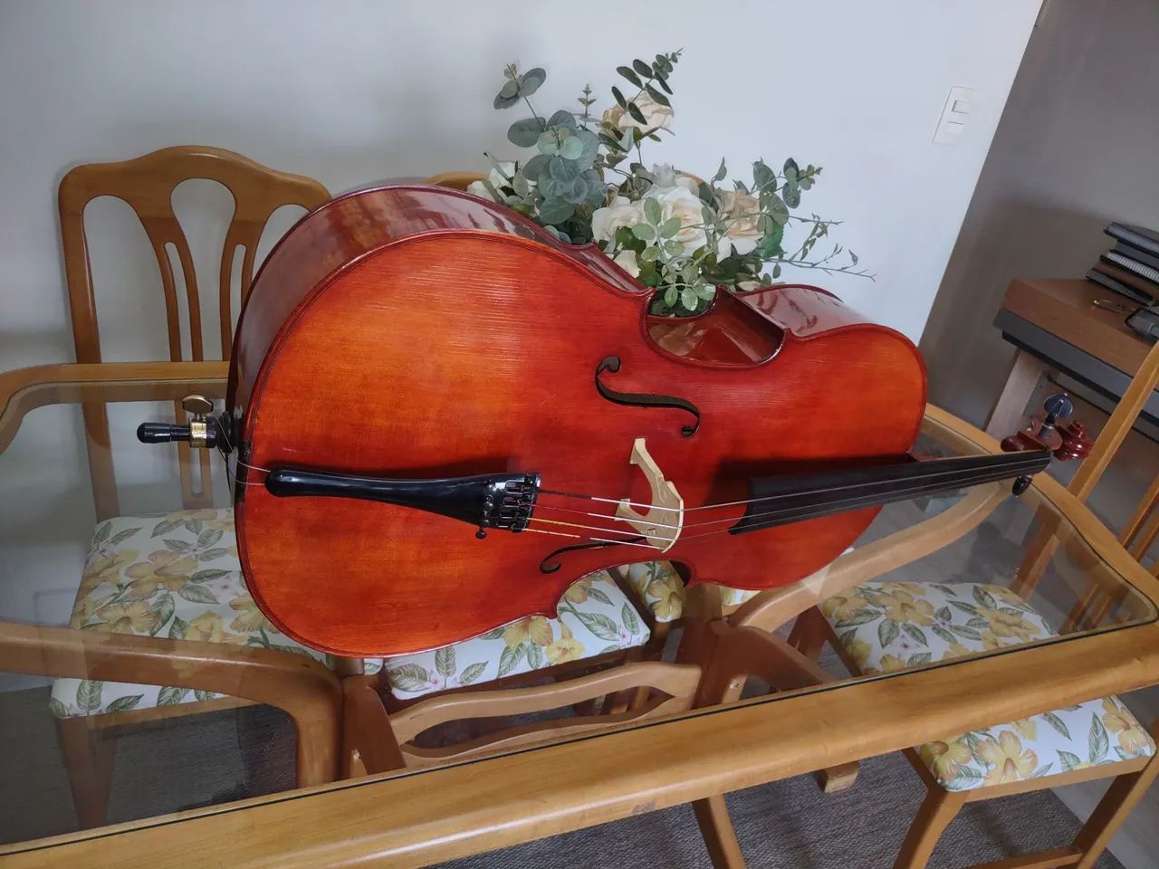 Violoncelo Roger Silva