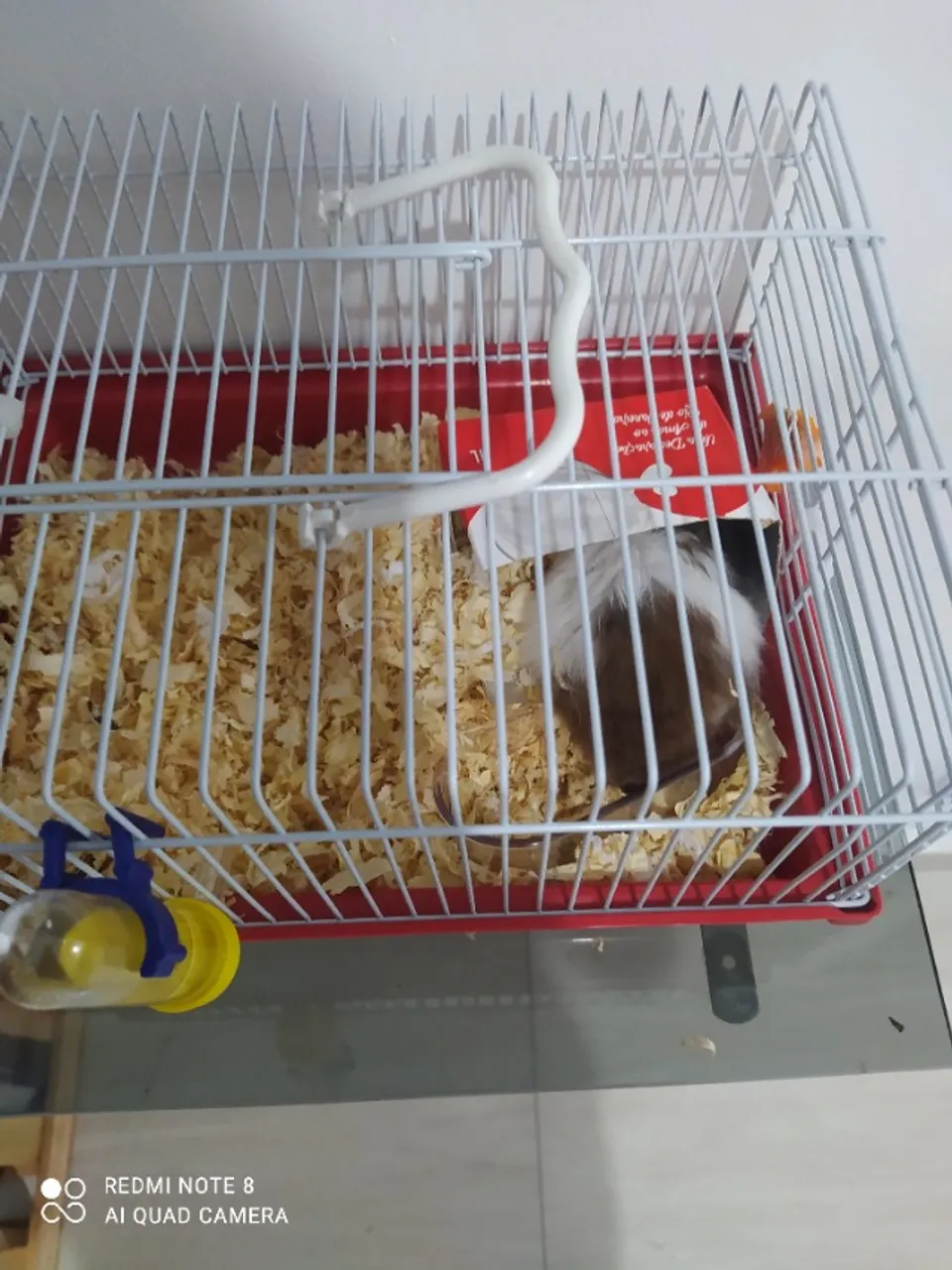 Hamster e gaiola