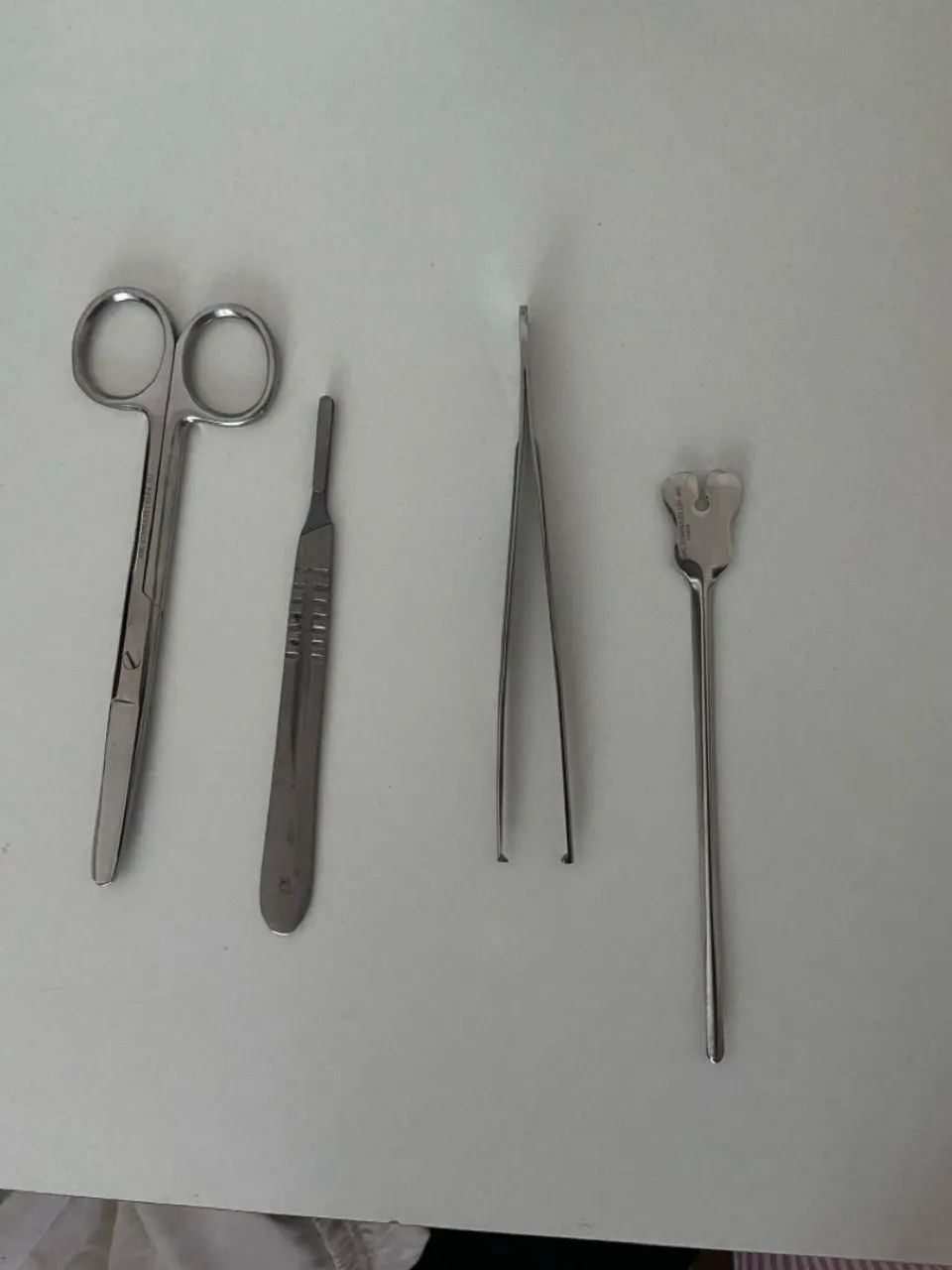 Instrumental Cirúrgico - Instrumentos de Anatomia