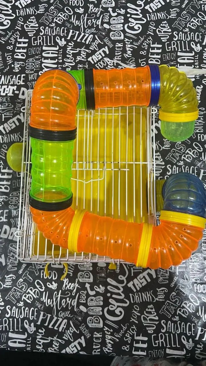 Gaiola para Roedores com Túnel - Foto 2