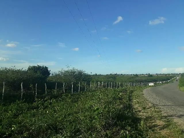 Fazenda com 190 hectares entre lagoa de pedras e Serrinha - Foto 3