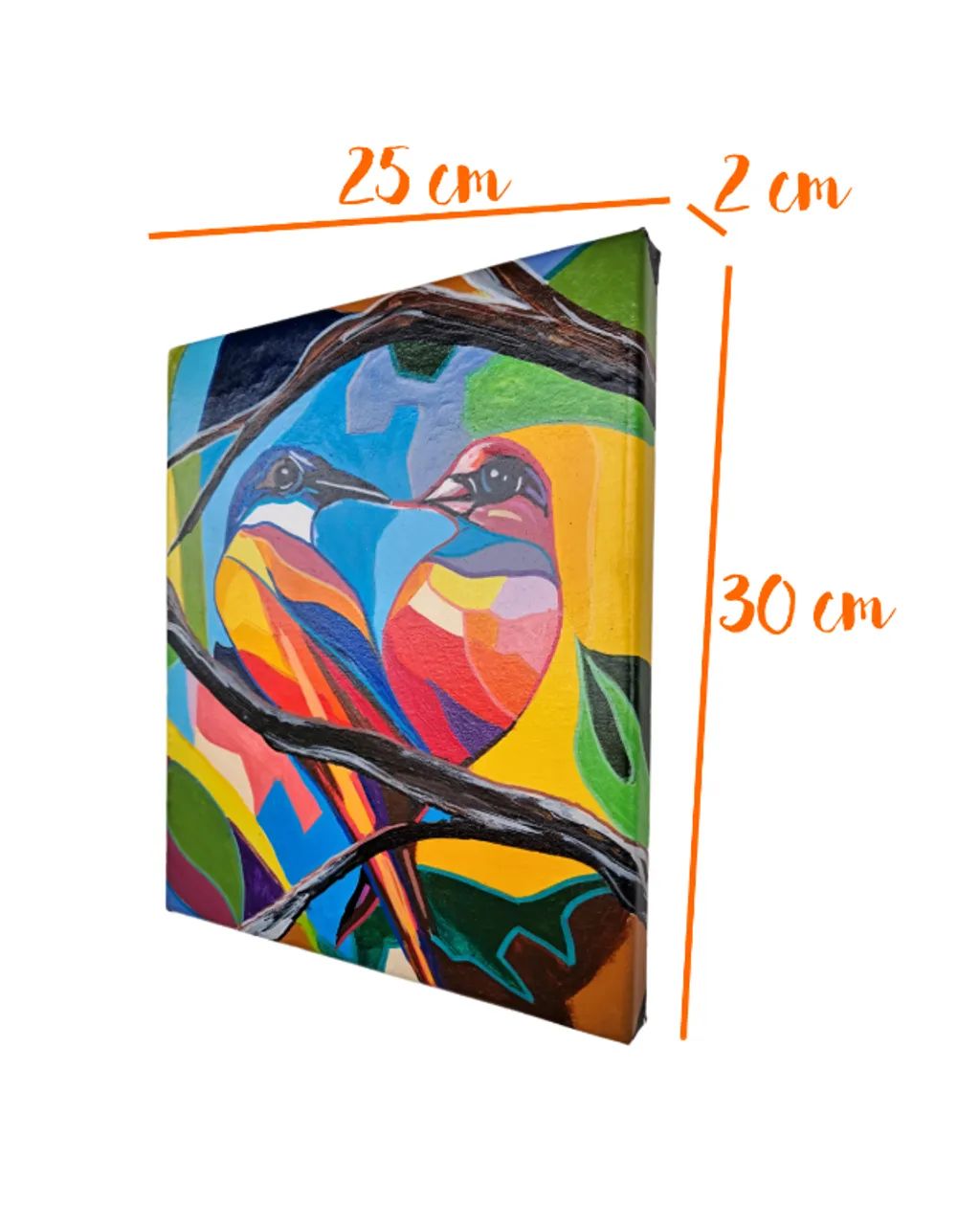 Mini Quadro com 2 Pássaros coloridos - Foto 4