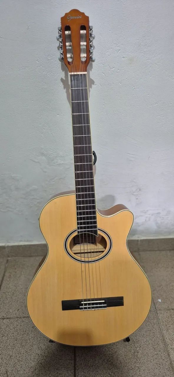 Violão Giannini GNF1D
