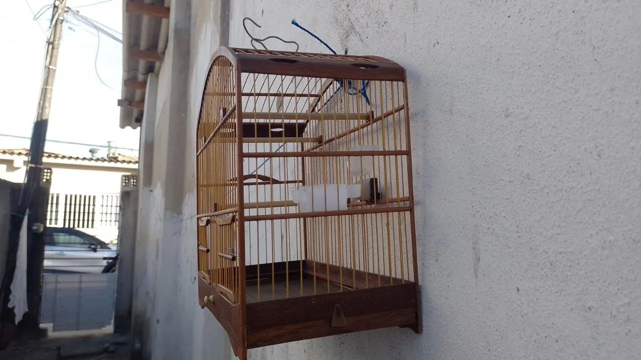 Tenho uma gaiola nova pra vender 70 reais