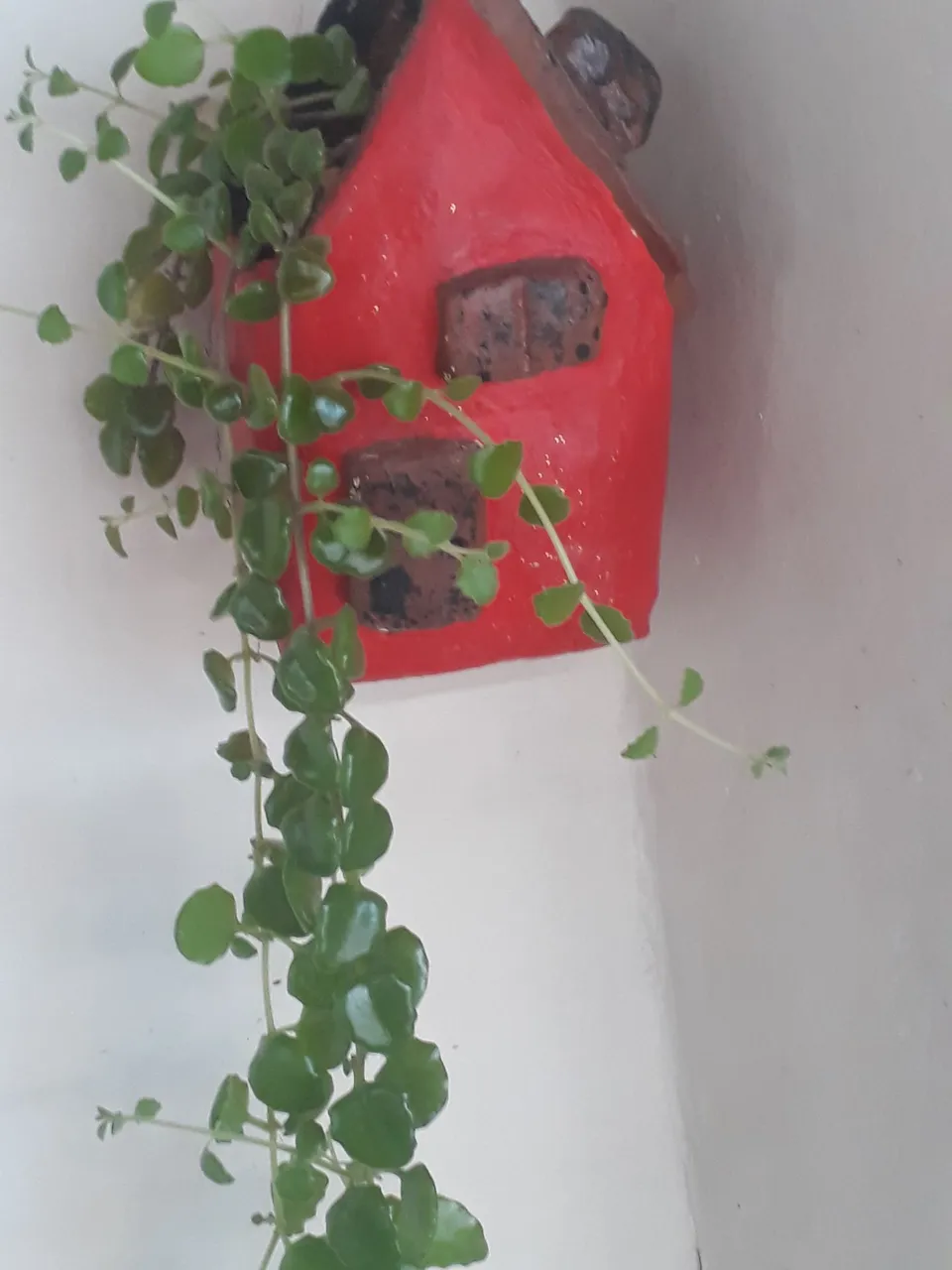 Vendo vasos tipo casinha já c/ plantas pendentes