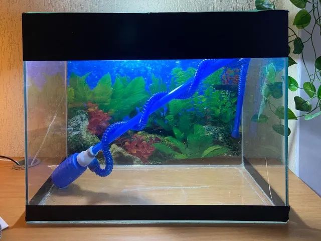 Aquário de vidro em ótimo estado