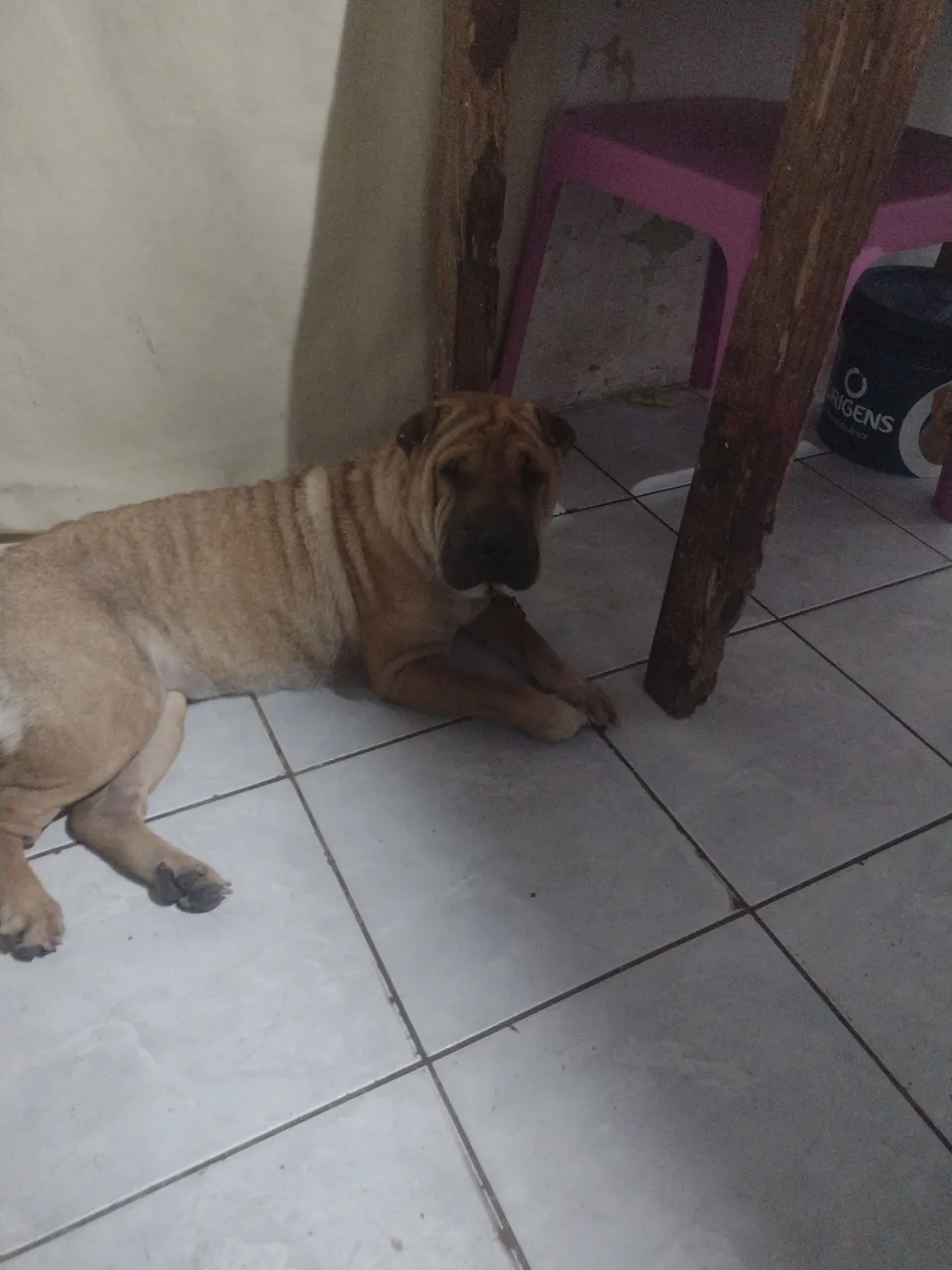 Doação