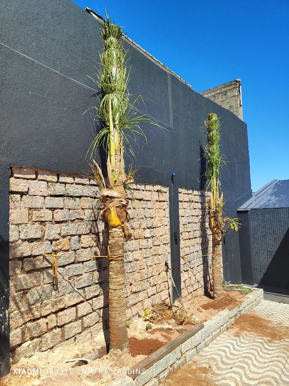 Jardinagem e paisagismo  - Foto 2