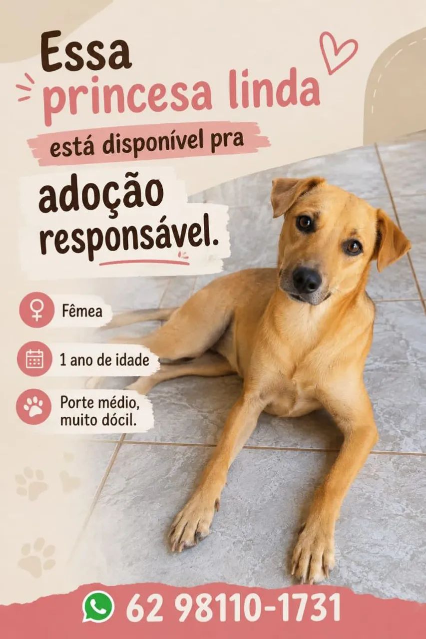 Pet's para adoção responsável  - Foto 2