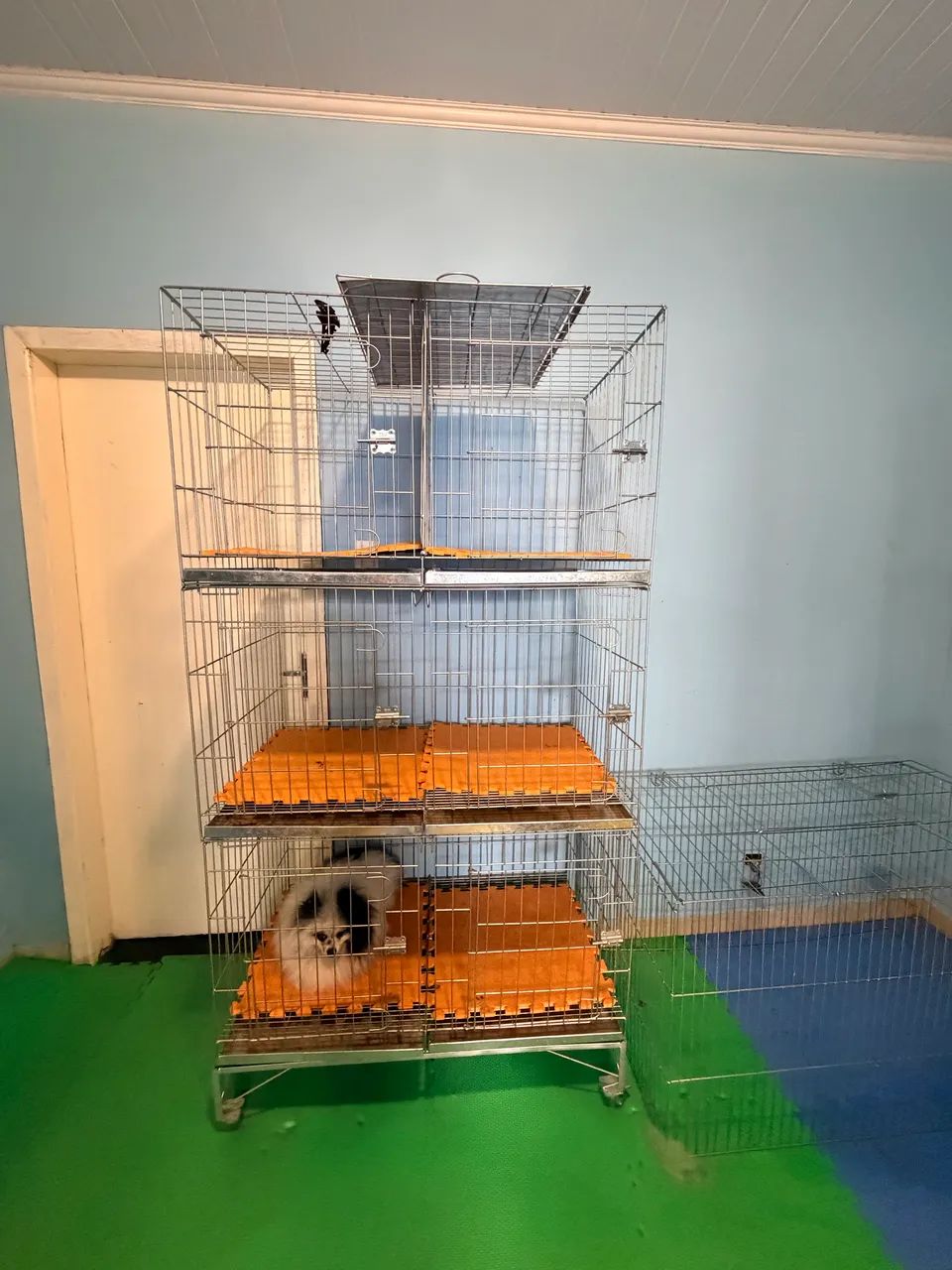 Pet shop - Foto 3