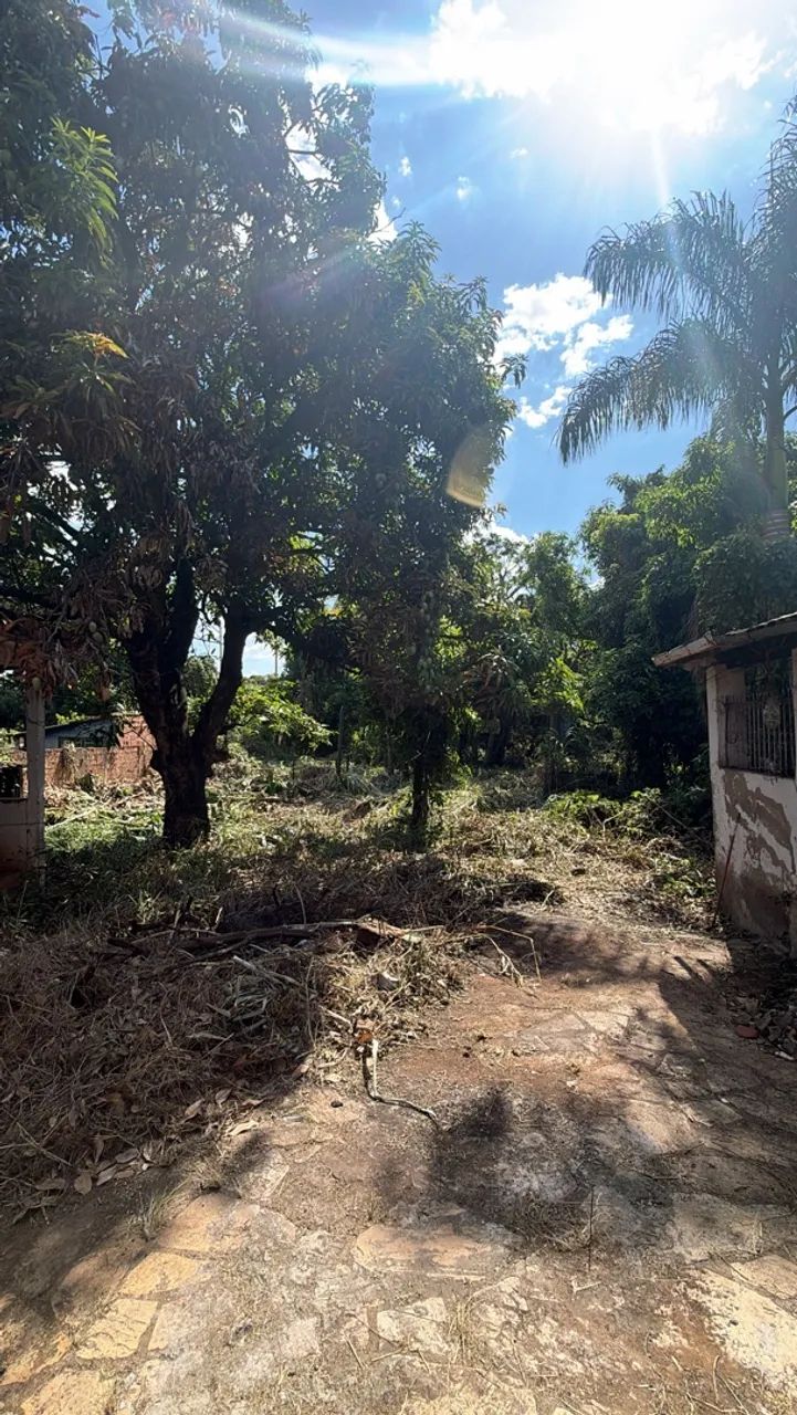 Área Comercial (1.5km de Campinas) - Foto 5