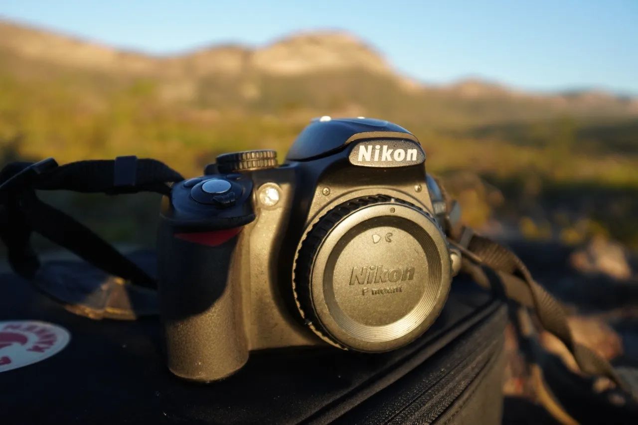 NIKON D3100