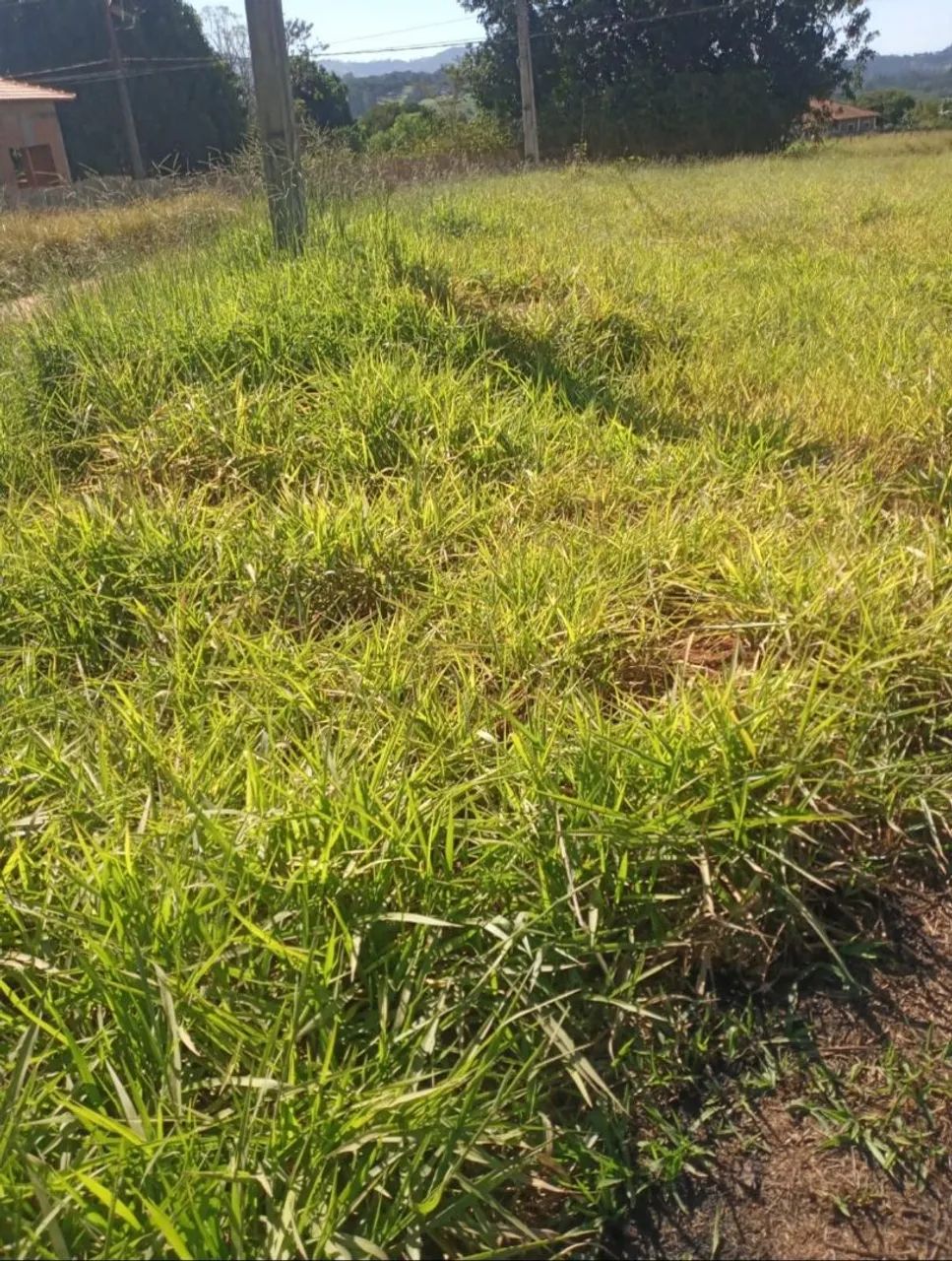 Terreno 700 m² em Estiva MG  - Foto 4