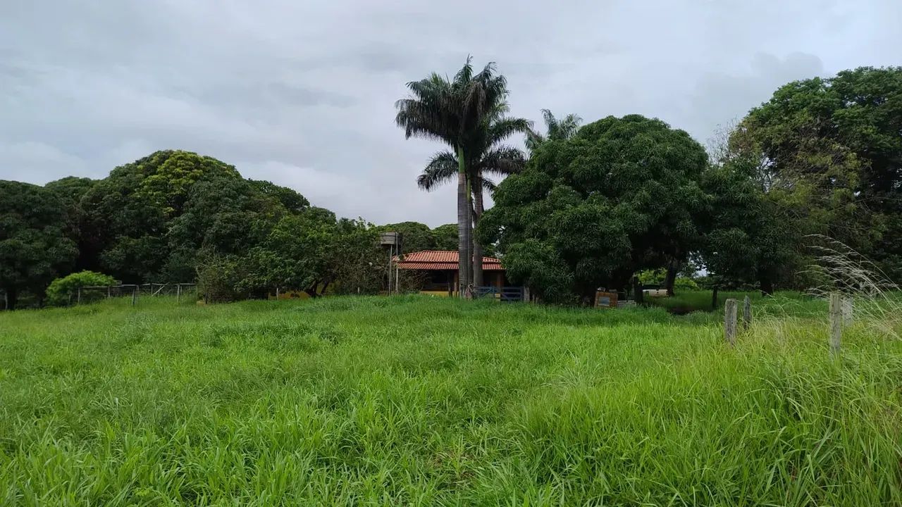 Fazenda Completa em Formosa-GO | 8 Alqueires com Barragem, Poço e Curral - Foto 2