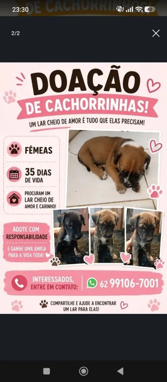 Doação  - Foto 2