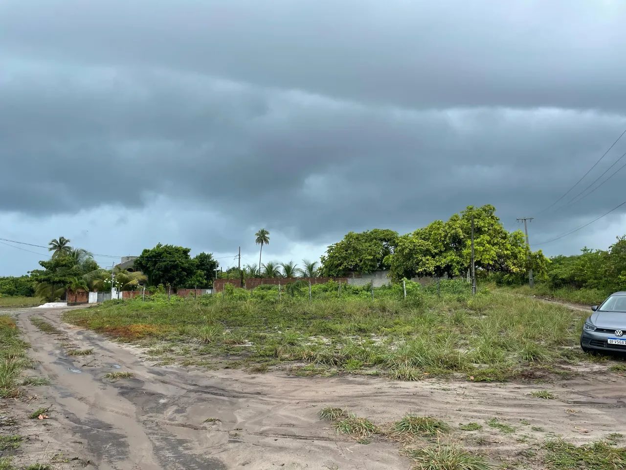 Foto - João Pessoa - Ipês