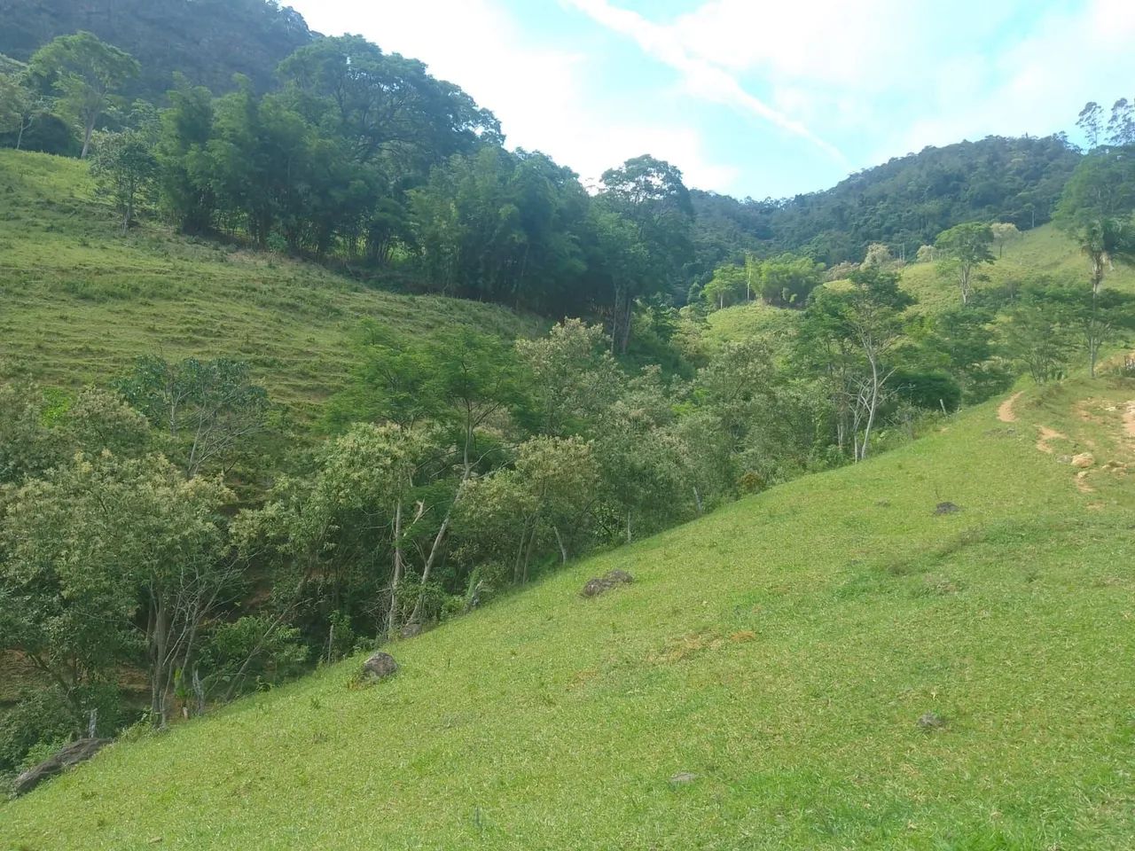 Propriedade 5 Alqueires Alfredo chaves  - Foto 4