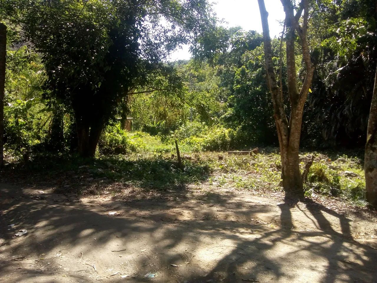 Foto - Rio de Janeiro - Curicica