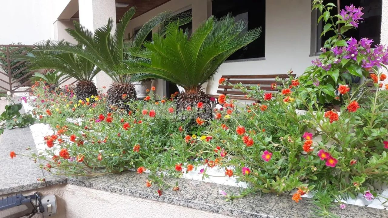 apartamento - Cambuí - Campinas - Foto 3