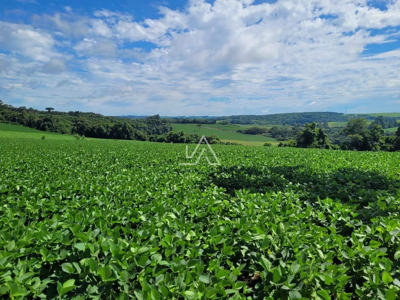 AREA SÃO BRAZ - Foto 3