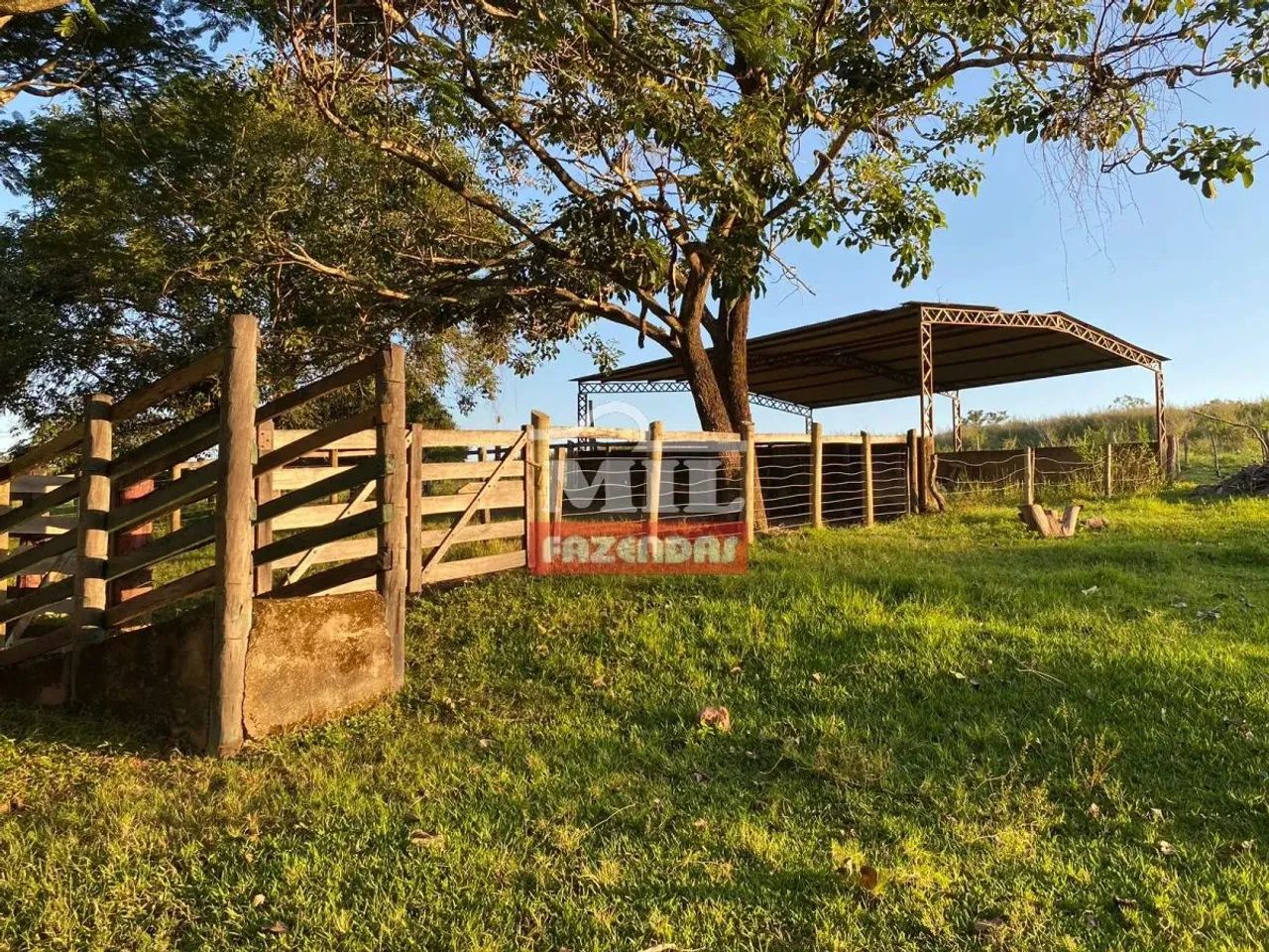 Fazenda em Ipameri 45,3 Alqueires (219 Hectares) - Foto 3