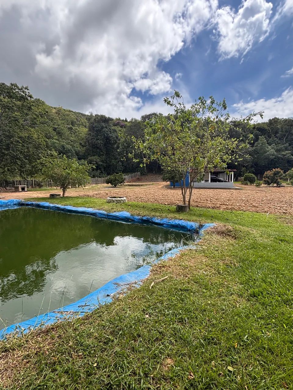 Vendo sítio em ouro Fino MG  - Foto 3