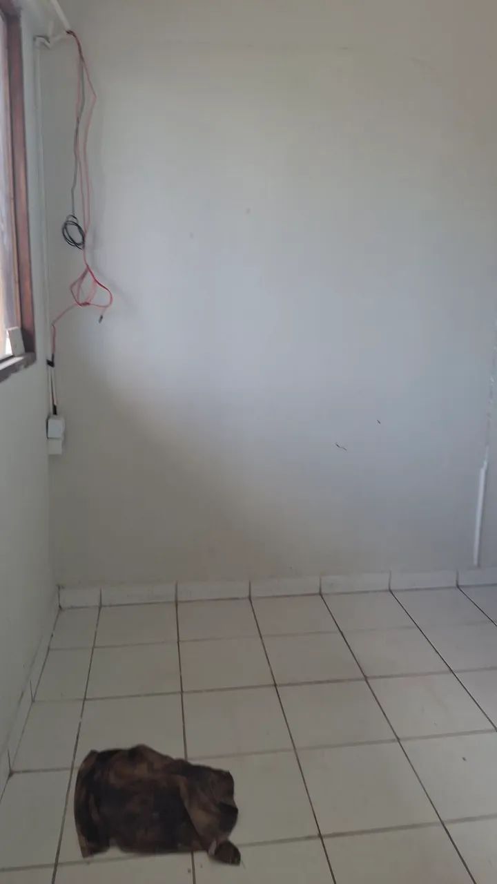 Sala comercial em galeria no bairro da torre - Foto 4