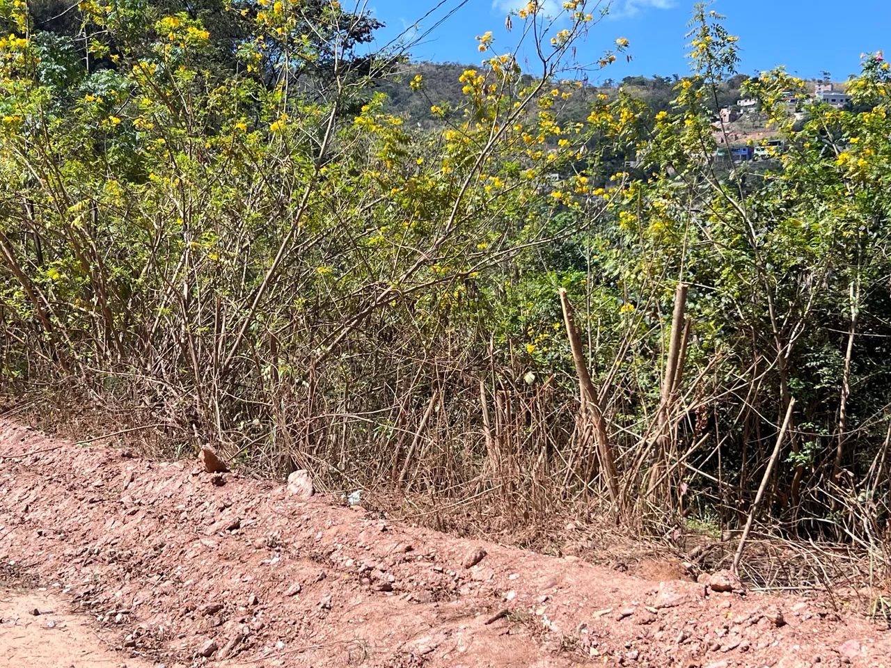 Área Beira linha Rocas grandes  - Foto 2