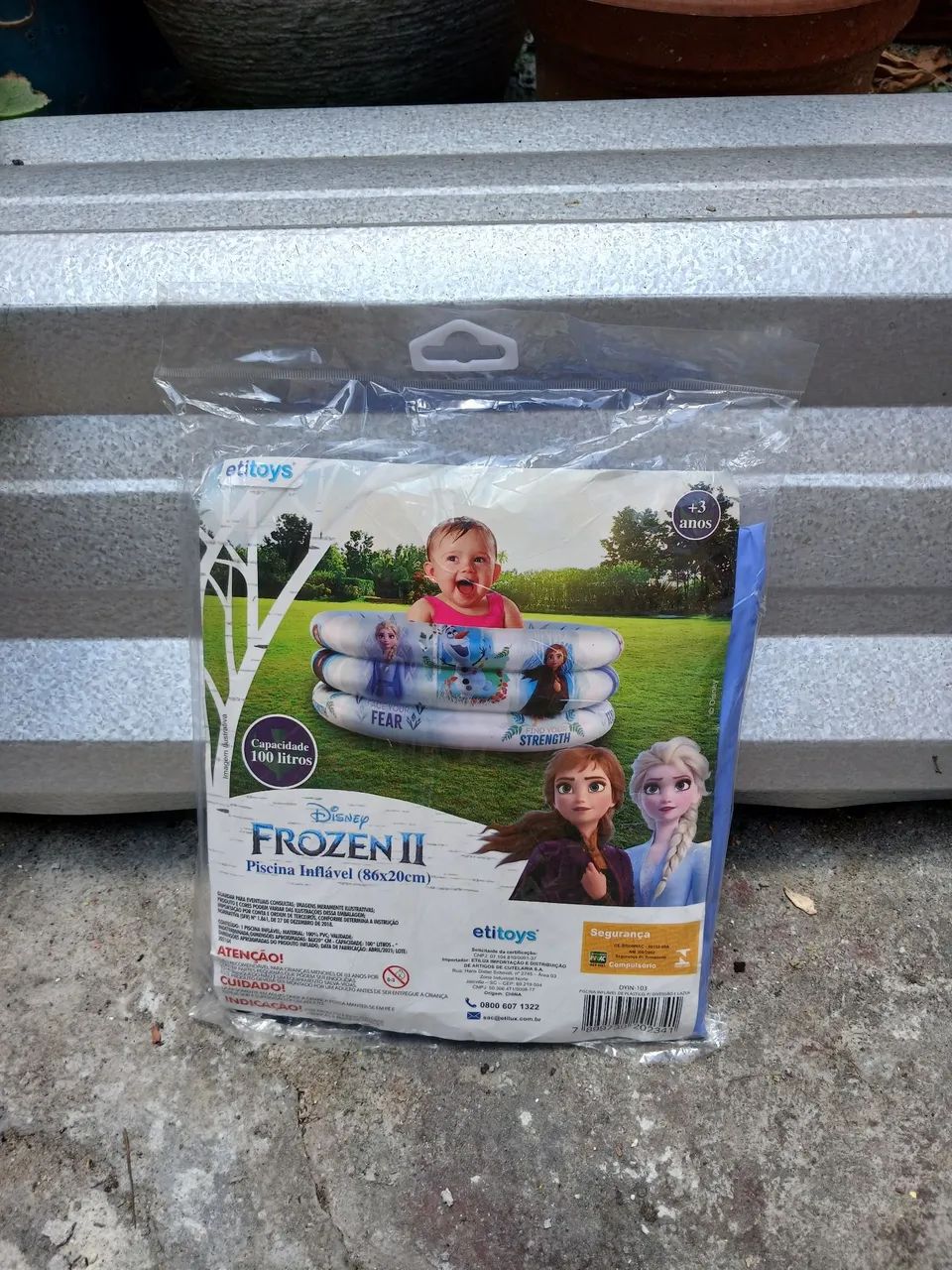 Piscina frozen 