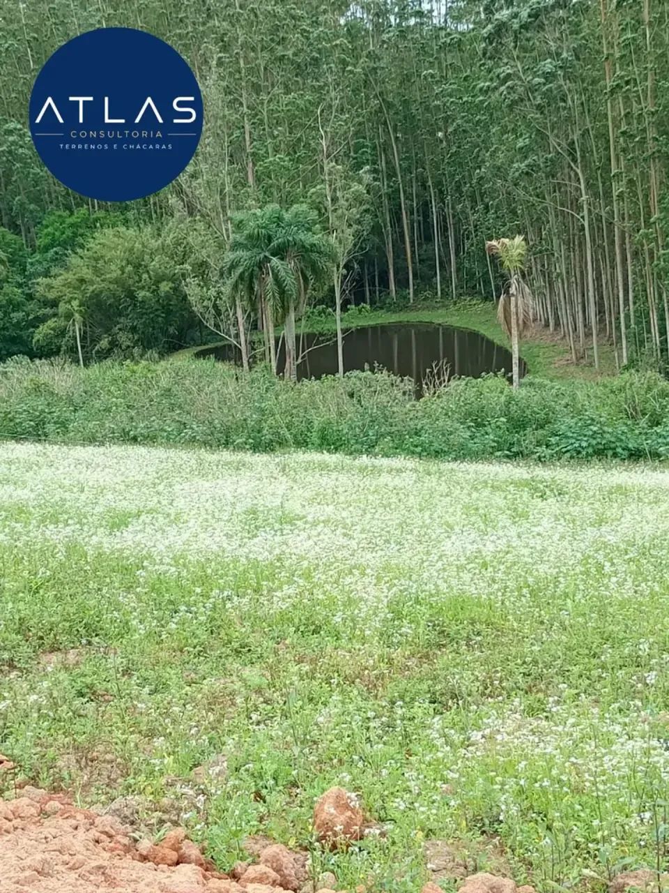 Próximo ao Pesqueiro Recanto dos Tambaás - Foto 4