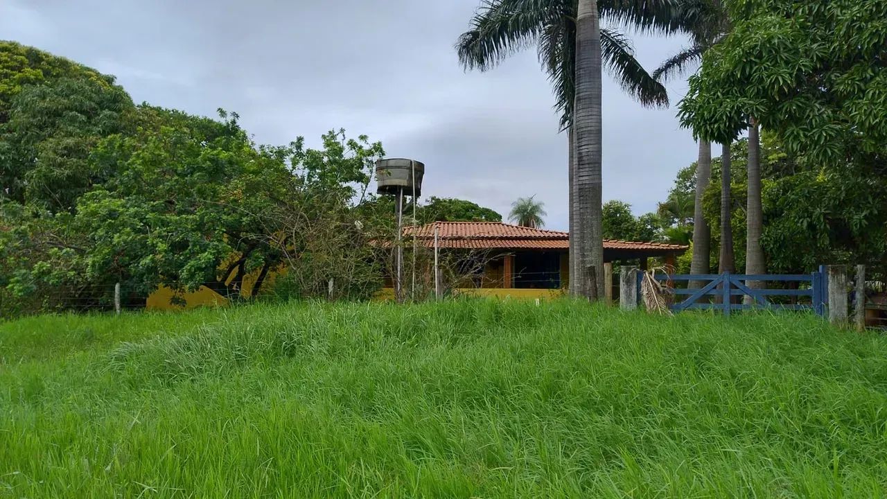 Fazenda Completa em Formosa-GO | 8 Alqueires com Barragem, Poço e Curral - Foto 3