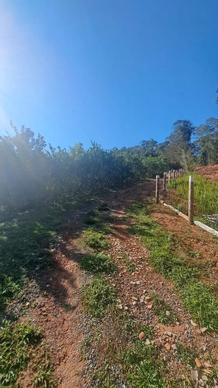Foto - Sorocaba - Jardim Eucalíptos