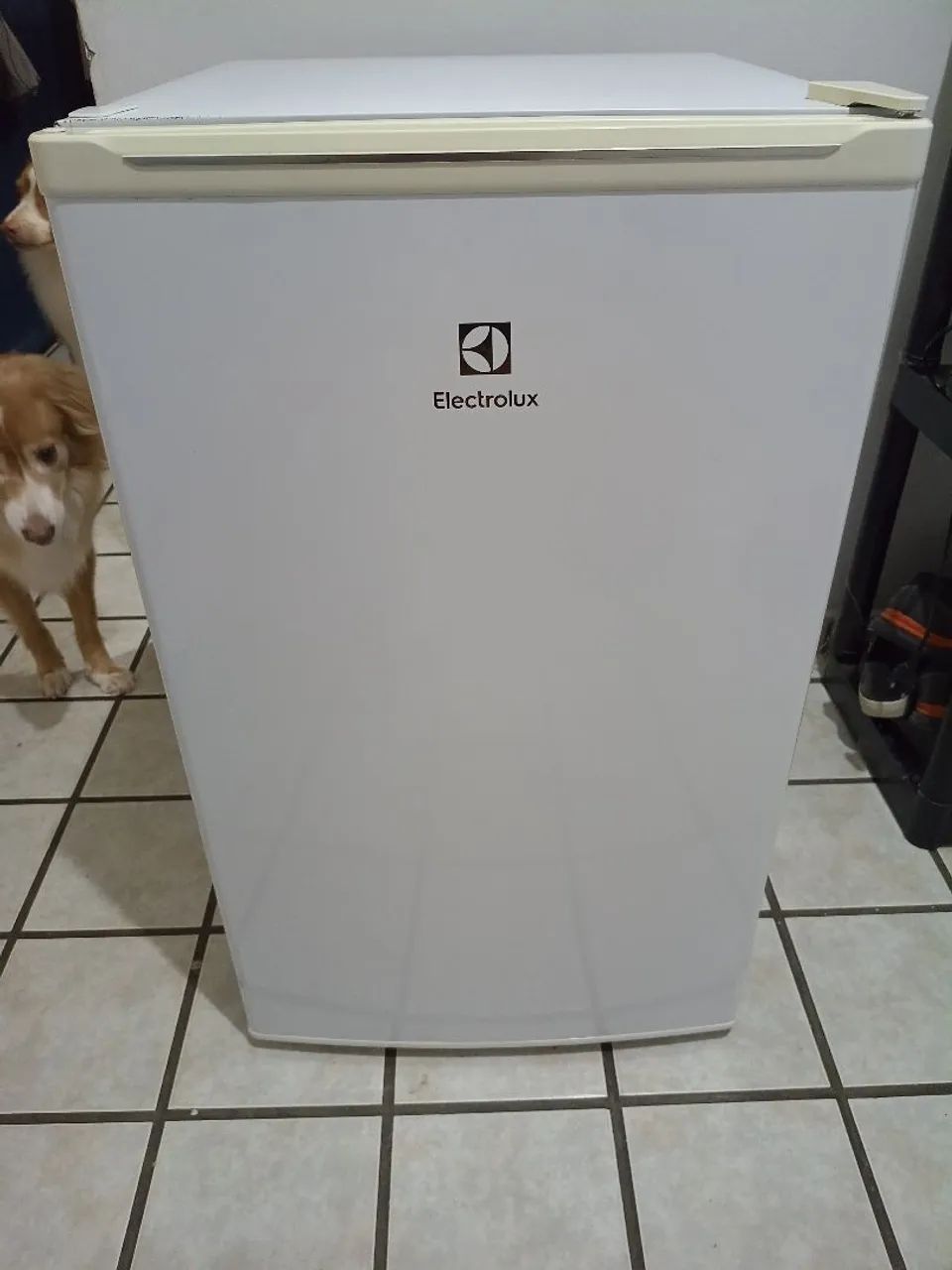 Frigobar Electrolux 122L Efficient com Controle de Temperatura Cor Branca | EcoPlus