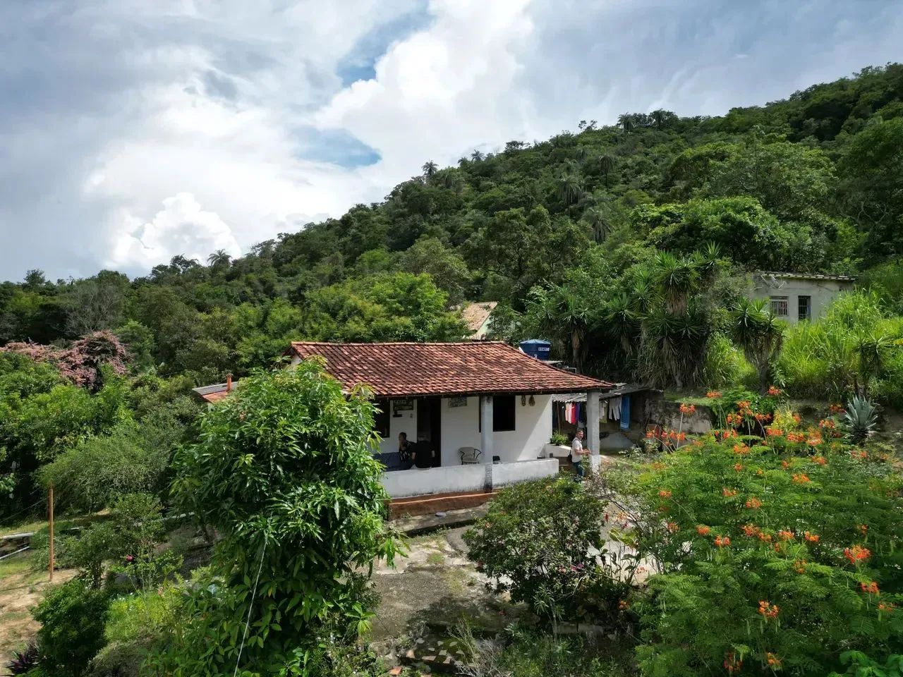 Oportunidade em Ravena: O Refúgio de Vó com Pomar Completo a 25 km de BH! - Foto 4