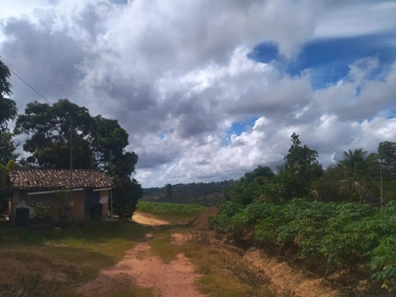 35 tarefas de terra - Malhador/SE - Foto 4