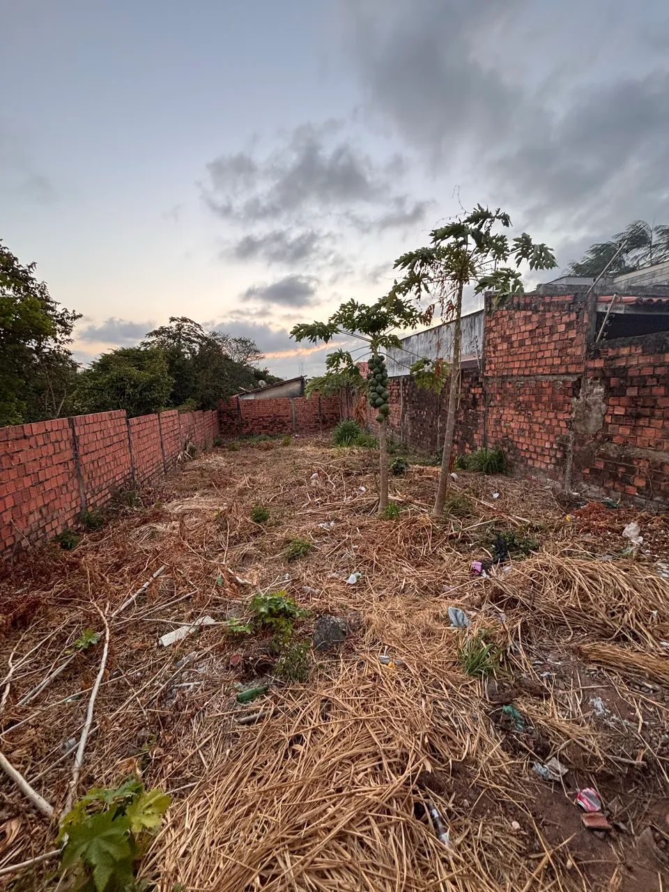 Terreno na Avenida Norte - Foto 2