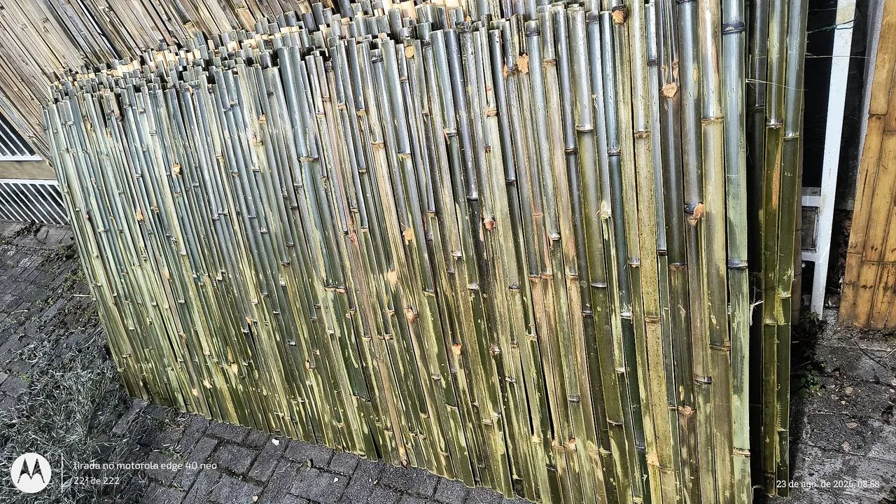 Cerca de bambu 