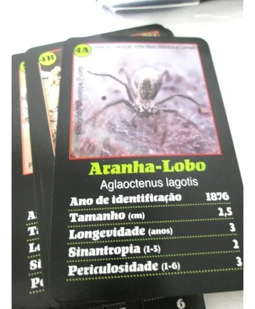 Cartas de Aranhas, Escorpiões e outros aracnídeos - Foto 3